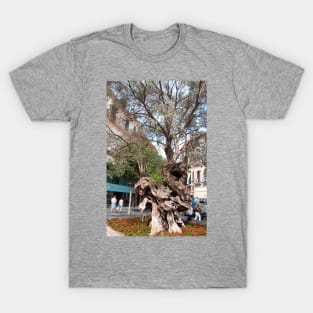 Olive Tree T-Shirt